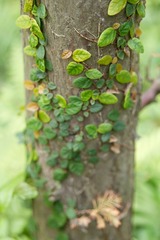 _MG_2876.jpg
