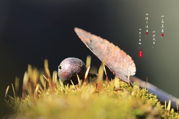 1109673