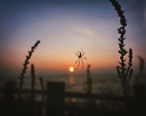 001