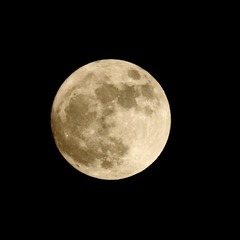 EF79DF94-70F6-453F-BF84-E669413F120A/L0/001
