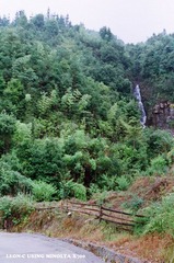17350013.jpg