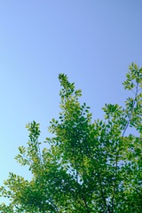 99E7AA28-BC65-4699-AFB5-A8019E6FA4EB/L0/001