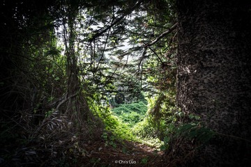 DSCF8206-2