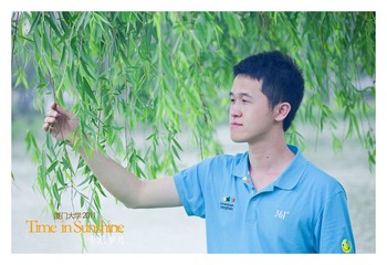 摘一支柳叶，与我的青春保存在一起