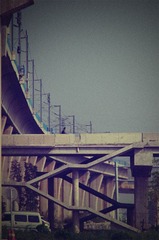 IMGP9909.jpg