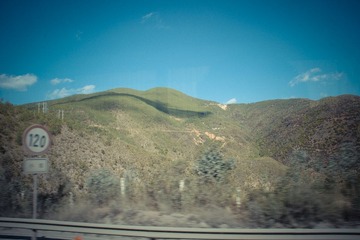 IMGP0909.jpg