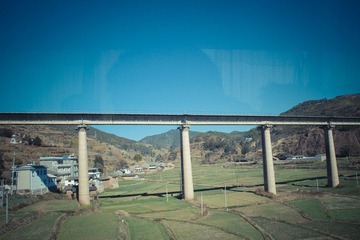 IMGP0939.jpg