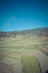 IMGP0940.jpg