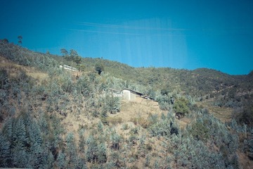 IMGP0941.jpg