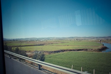 IMGP0951.jpg