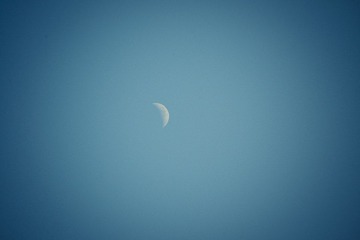 IMGP0956.jpg