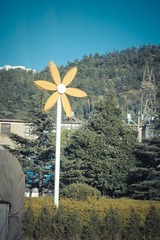 IMGP0964.jpg