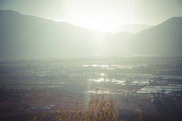 IMGP1016.jpg