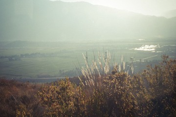 IMGP1019.jpg