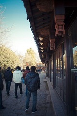 IMGP1195.jpg