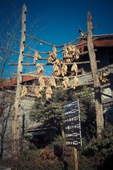 IMGP1218.jpg