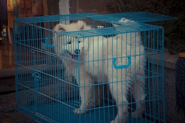 IMGP1226.jpg