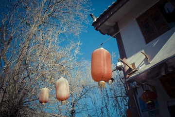 IMGP1263.jpg