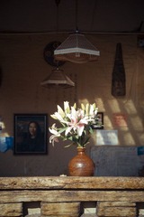 IMGP1293.jpg
