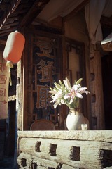 IMGP1294.jpg