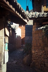 IMGP1309.jpg