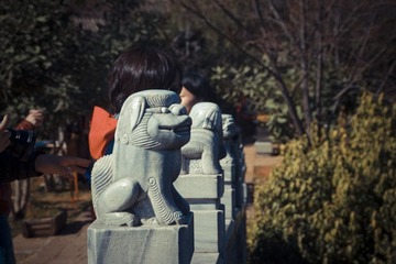IMGP1361.jpg