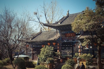 IMGP1374.jpg