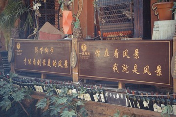 IMGP1441.jpg