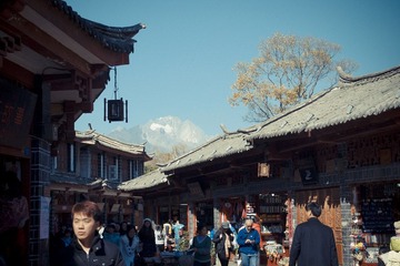 IMGP1452.jpg