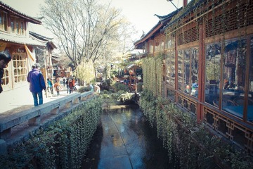 IMGP1453.jpg