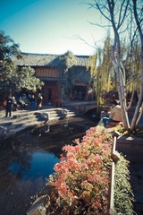 IMGP1535.jpg