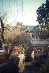 IMGP1538.jpg