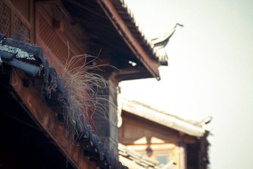 IMGP1556.jpg