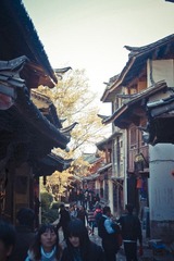 IMGP1558.jpg