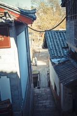 IMGP1563.jpg