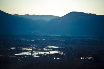 IMGP2092.jpg