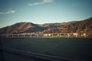 IMGP2133.jpg