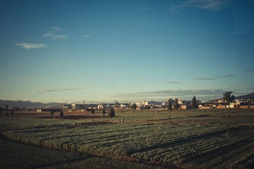 IMGP2137.jpg