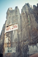 IMGP2208.jpg