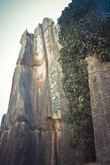 IMGP2212.jpg