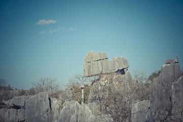 IMGP2264.jpg