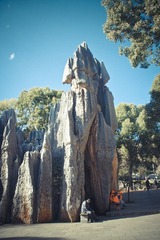 IMGP2274.jpg