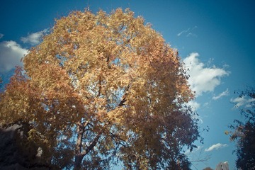 IMGP2299.jpg