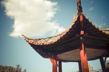 IMGP2303.jpg