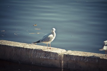 IMGP2428.jpg