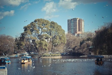 IMGP2448.jpg
