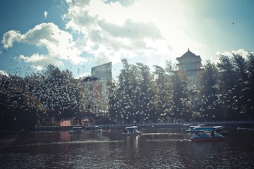 IMGP2465.jpg