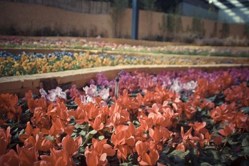 IMGP2472.jpg