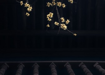 20170207-160907