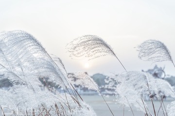20161223004